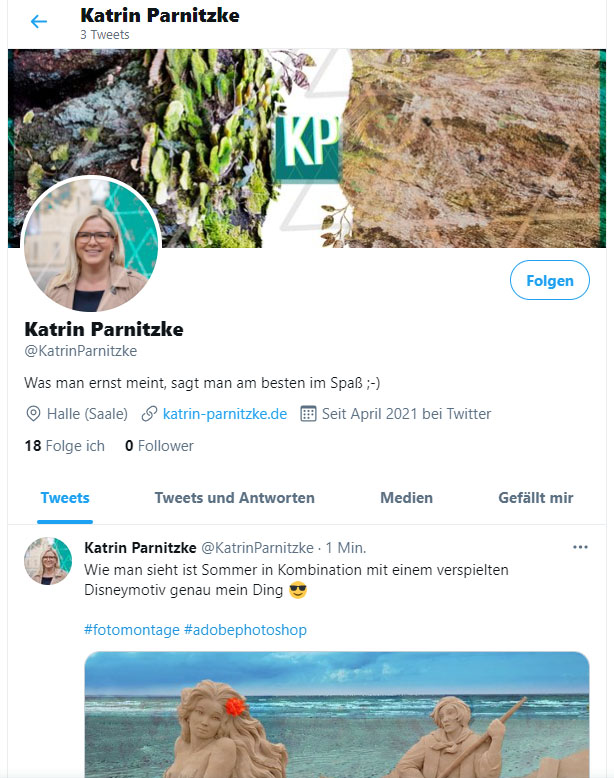Social Media Kanal: das Twitter-Profil von Katrin Parnitzke